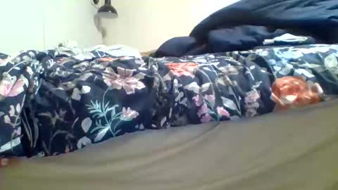 biggerthanasnicker online show from December 29, 3:22 am