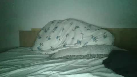 daddy online show from October 27, 4:40 pm