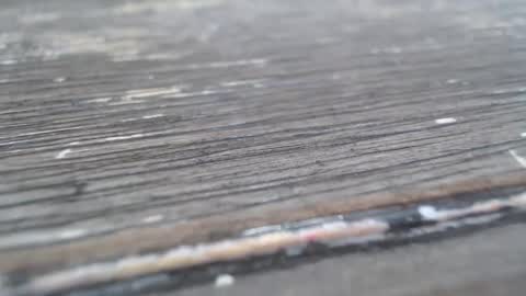 Big Jon online show from February 24, 6:22 pm