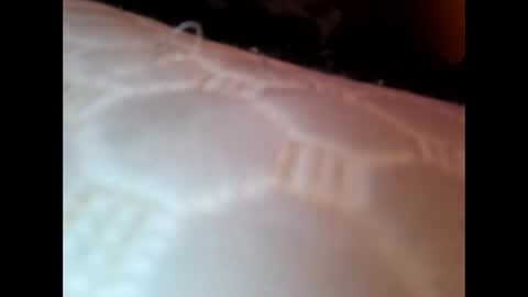bigloggzz online show from January 8, 7:55 am