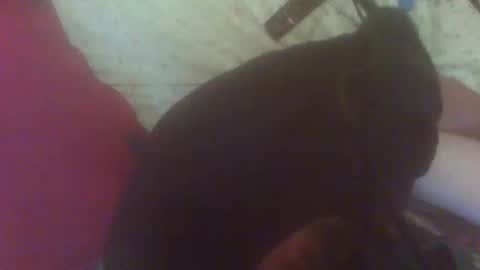 bigpoppadutch666 online show from May 2, 4:24 pm