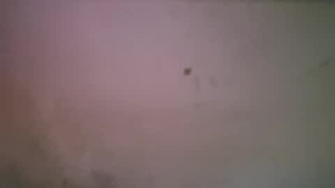 bigsssnake69 online show from April 21, 1:42 am