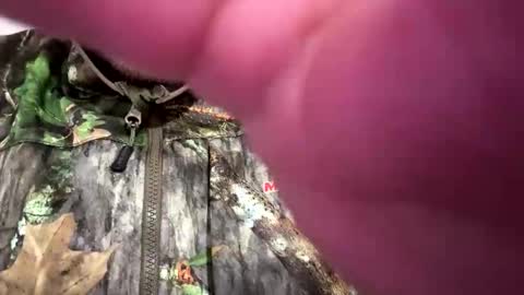 bilbonebagit online show from April 20, 9:56 am