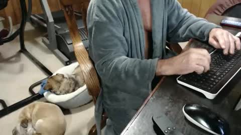 billy471 online show from November 19, 5:23 pm