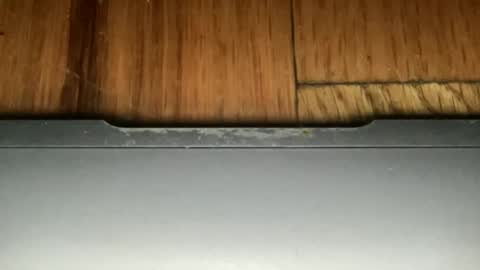 billy_big_pipes online show from January 9, 9:37 am