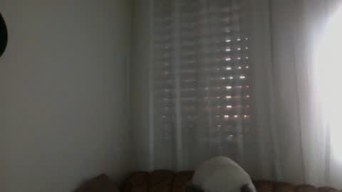 Bill online show from February 16, 7:59 am