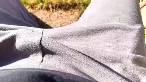 pocolococo online show from April 1, 7:09 am