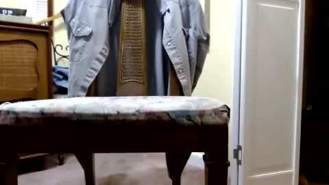 bitexan69 online show from November 2, 11:10 am