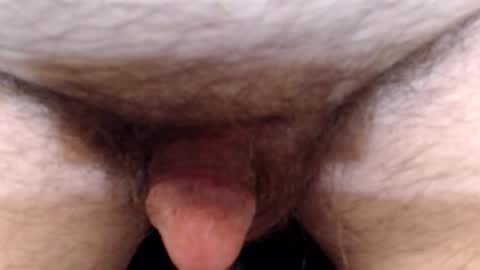 bobswan online show from April 13, 6:34 pm