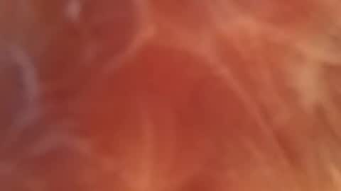 bombelpunk86 online show from February 13, 8:06 am