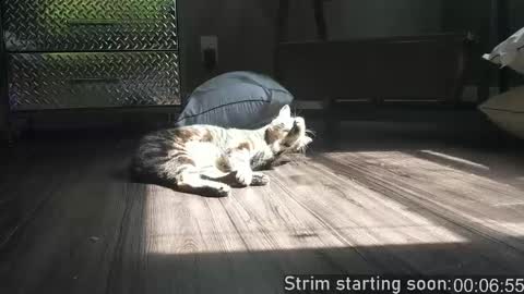 Booker Baxton online show from April 21, 3:02 am