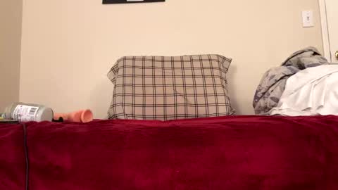 borednutts510 online show from October 6, 8:43 am