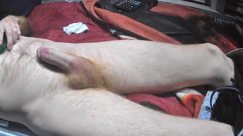 bornwild13 online show from November 11, 10:17 am