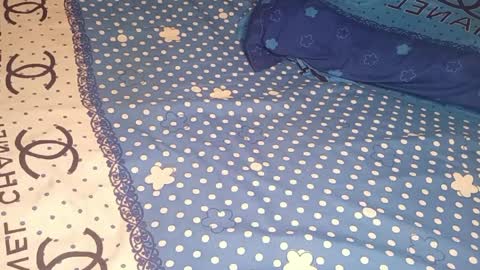 bossetassy online show from April 10, 5:17 pm