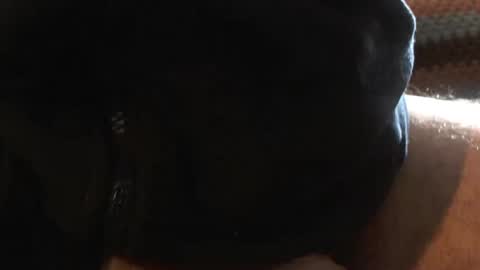 bossram160 online show from March 6, 9:36 am