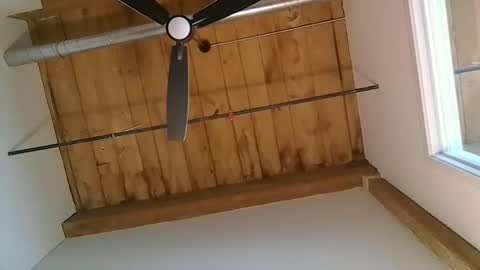 bostondaddy46 online show from November 15, 2:29 pm