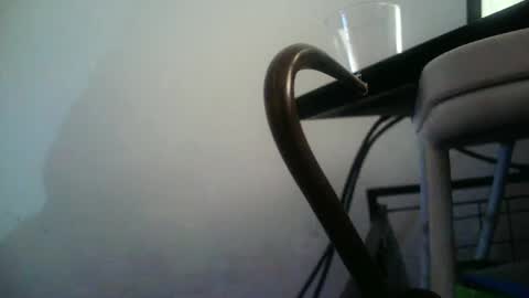 BottoMMlad online show from January 10, 12:38 am