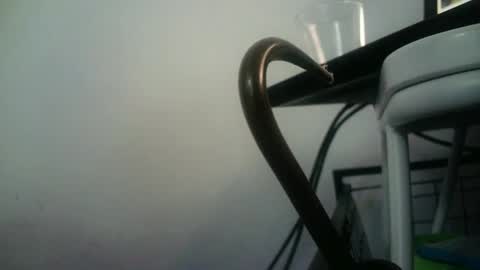 BottoMMlad online show from January 9, 4:39 pm