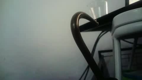 BottoMMlad online show from January 9, 8:01 pm