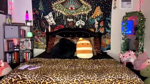 Puddin online show from February 24, 5:54 am