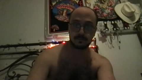 JD. online show from November 7, 8:50 am