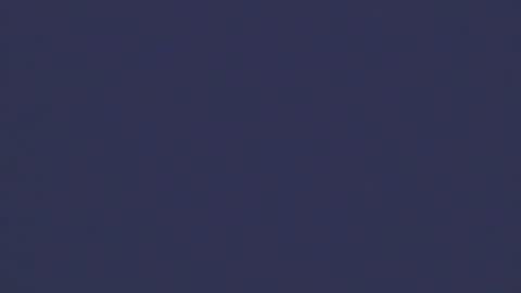 Bradley online show from December 3, 4:53 am