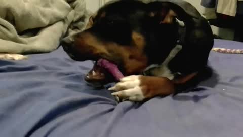 breeandgeebondage303864 online show from February 16, 6:32 pm