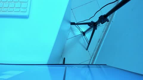 B R I T A N N Y online show from April 18, 11:12 am