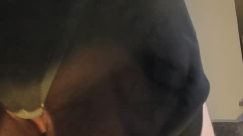 britany lenox online show from February 4, 12:47 am