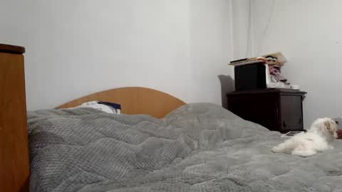 Britney online show from February 2, 10:44 am