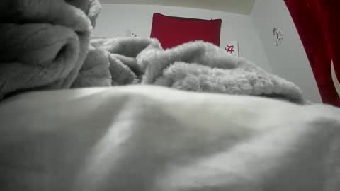 budsonly33 online show from December 12, 7:52 am