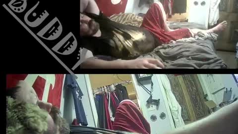 budsonly36 online show from February 17, 12:38 pm