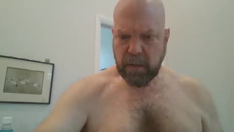 bulldog302w online show from February 20, 4:31 pm