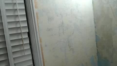 BullMuscleJoe online show from April 21, 2:51 am