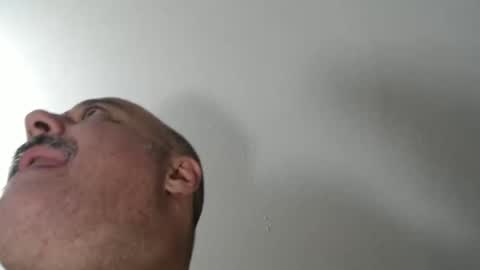 BullMuscleJoe online show from November 3, 1:39 am