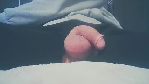 Dutch cock online show from February 16, 6:32 am