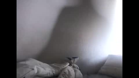 Creazy dad online show from March 10, 10:39 am