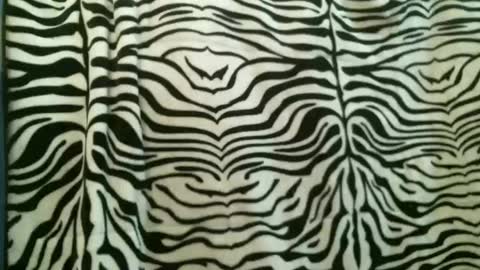 bustinfree online show from January 13, 3:09 pm