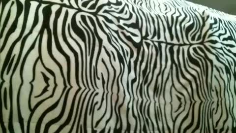 bustinfree online show from January 9, 10:37 pm