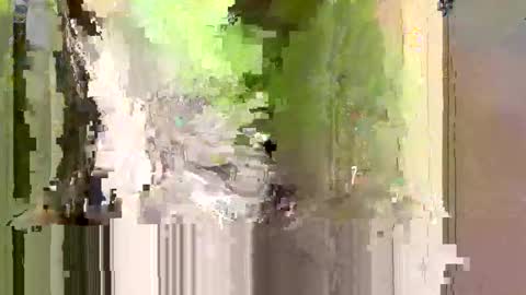 bxbomber2012 online show from April 24, 8:00 pm