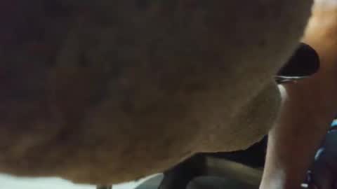 Cal online show from February 18, 2:06 pm