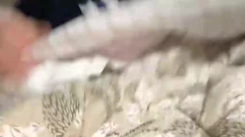 Snapshot of calciatore94 chatting on December 9, 8:54 pm Marco online show from December 9, 8:54 pm