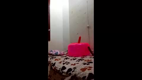 Mara Catalina Romero Ordez online show from February 27, 8:07 am