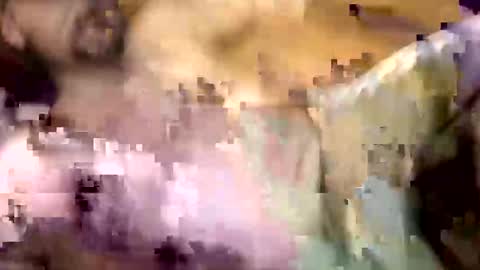 camerontaylorcub online show from September 30, 8:14 am