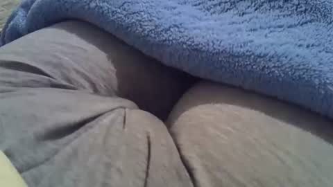 flash 50 tokens BIG CLIT  tits pussy. masturbation big clit 150 tokens fingers inside pussy 1000 tk  pump big clit 300 tk online show from November 11, 8:33 pm