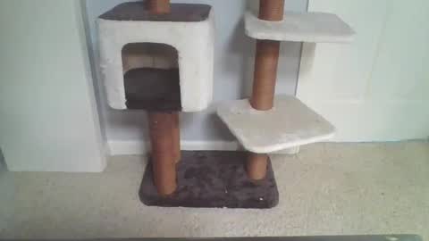 cammyman6900 online show from October 7, 2:46 pm