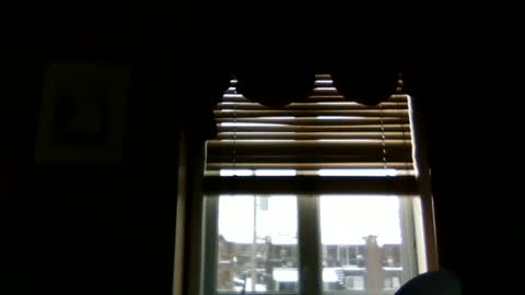 hunk online show from January 14, 1:28 pm