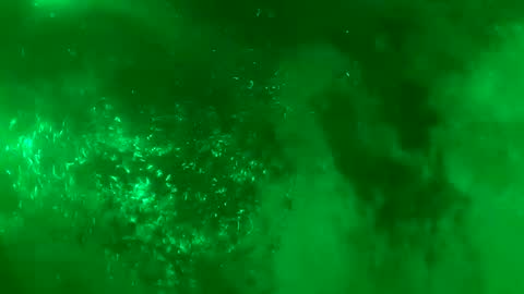 Daddy online show from January 18, 7:28 am