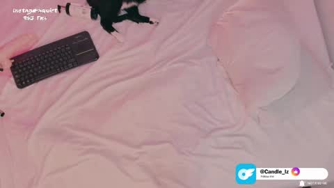 candle_lz online show from September 27, 5:16 am