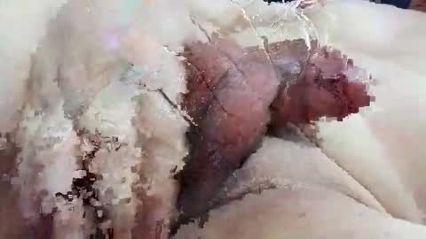 canmodel506070 online show from November 28, 10:11 am